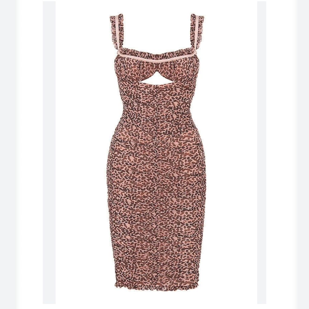 House of CB Audra animal print mesh bustier dress. Pink and brown. Size large.
